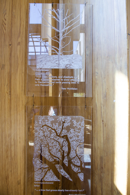 Image of Laser Cut Acrylic on display in Nutting Hall Exhibit 02